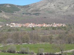 Navalonguilla en Primavera